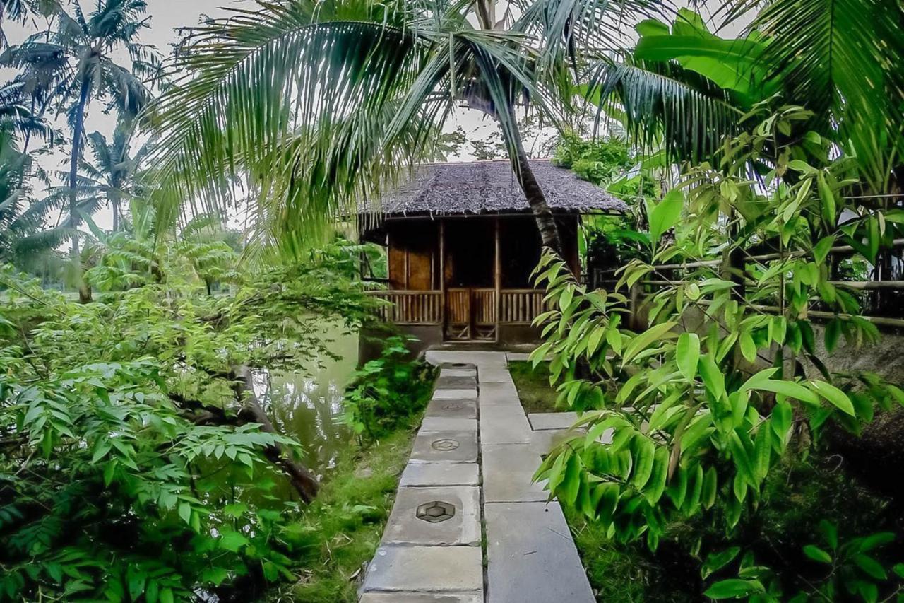Baleku Bamboo Retreat 호텔 판강다란 외부 사진