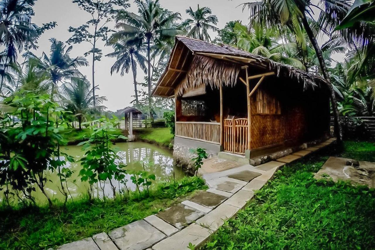 Baleku Bamboo Retreat 호텔 판강다란 외부 사진